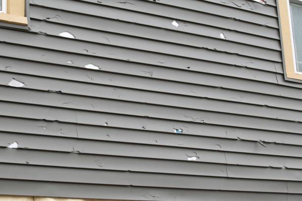 Trusted Plattsburgh, NY Junk Removal Experts