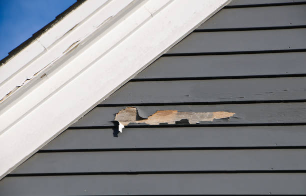 Best Hoarding Cleanup  in Plattsburgh, NY