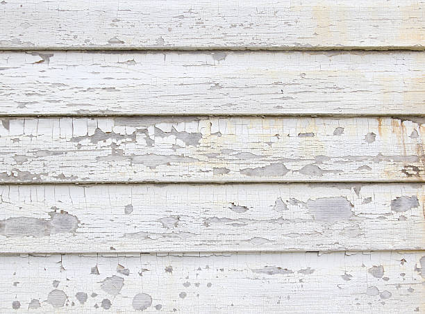 Best Same-Day Junk Removal Services  in Plattsburgh, NY