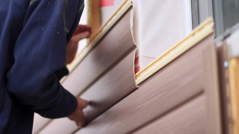 Best Dumpster Rental Services  in Plattsburgh, NY